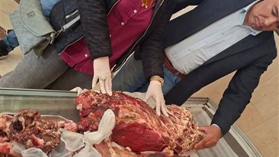 ضبطت 70 كيلو لحوم فاسدة.. حملة تفتيشية ورقابية علي محلات السويس 
