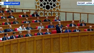 رعاية النشء والشباب.. تعرف على مهام واختصاصات لجنة الشباب والرياضة