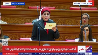جيهان شاهين: أولوياتي بالمجلس تنطلق من ملفات تمس حياة المواطنين بشكل مباشرة