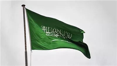 السعودية تلقي القبض على 18200 مهاجر غير شرعي في أسبوع واحد