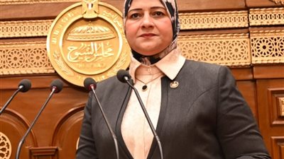 مروة قنصوه: مشروع الطاقة الشمسية بنجع حمادي نقلة استراتيجية للتحول الطاقي 