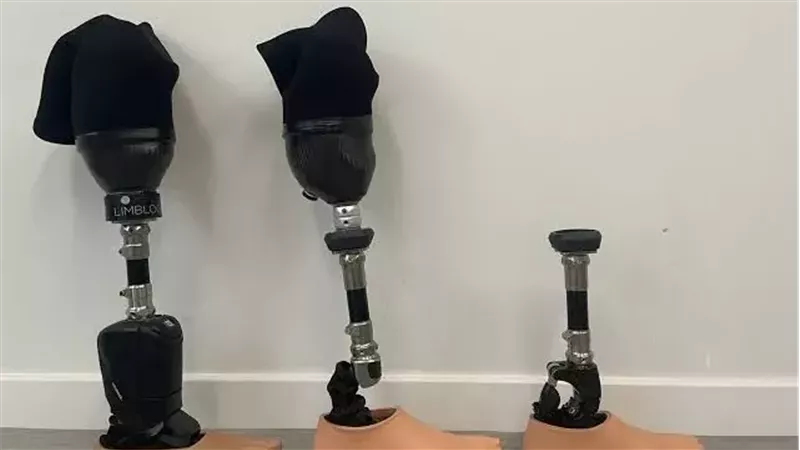 الطرف الصناعي 