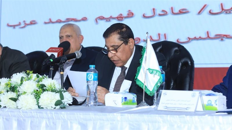 المستشار عادل فهيم