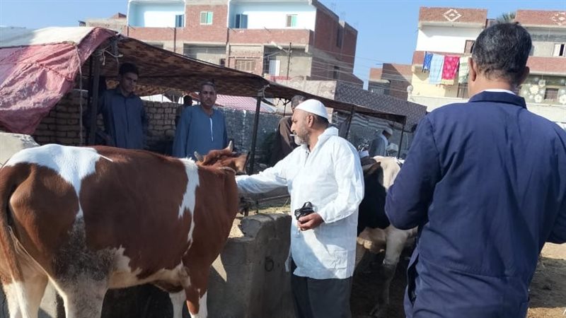 الحملة الاستثنائية
