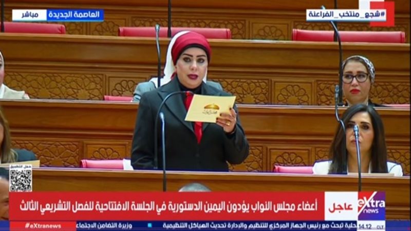 النائبة الدكتورة
