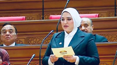 دعاء البنا: رفع الخدمات الصحية وتطوير المستشفيات الحكومية على رأس أولوياتي