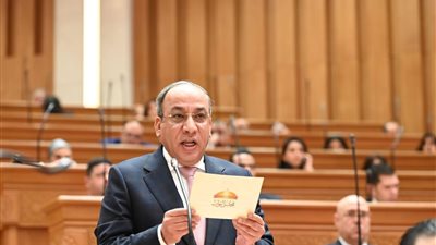 طارق المحمدي: الحماية الاجتماعية تجسيد لقيم التكافل وتعزيز للاستقرار المجتمعي