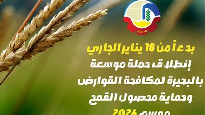 بدءاً من 18 يناير .. انطلاق حملة موسعة بالبحيرة لمكافحة القوارض