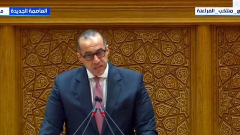 محمود فوزي