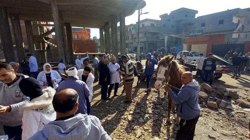جانب من القوافل البيطرية