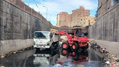 حي المعصرة يرفع القمامة ويستجيب لشكاوى قاطني شارع جمال عبدالناصر بالقاهرة