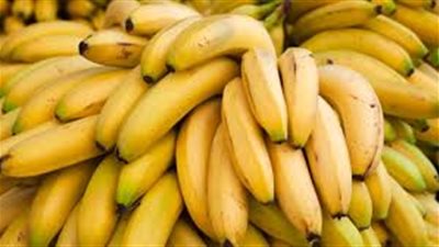 الموز البلدي بكام؟.. أسعار الموز اليوم 14/1/2026، في سوق العبور