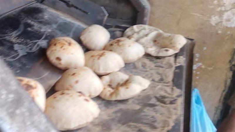 حملات تموينية بالقليوبية