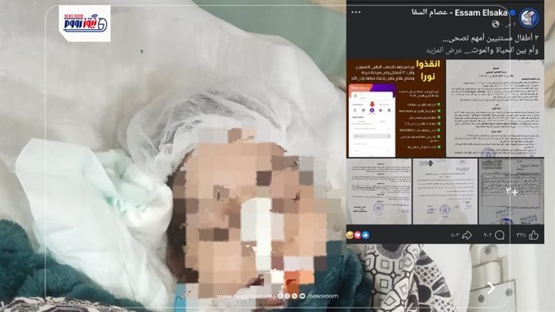 قصة نورا والفنان