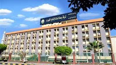 «وسط الدلتا» للكهرباء تعلن عن وظيفة قيادية بقطاع الإنتاج