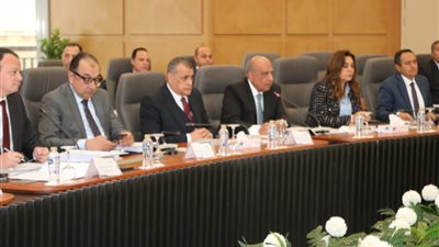 محمود عصمت: إتاحة الطاقة الكهربائية لكافة الاستخدامات كركيزة أساسية للتنمية