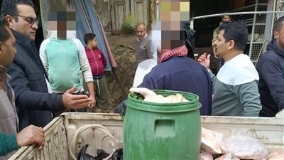 ضبط ربع طن دواجن محقونة بالمياه وغير صالحة للاستهلاك الآدمي بالمنوفية