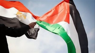هشام عناني: مصر أنجزت ما لم يستطع أحد أن يحققه بتوحيد الصف الفلسطيني 