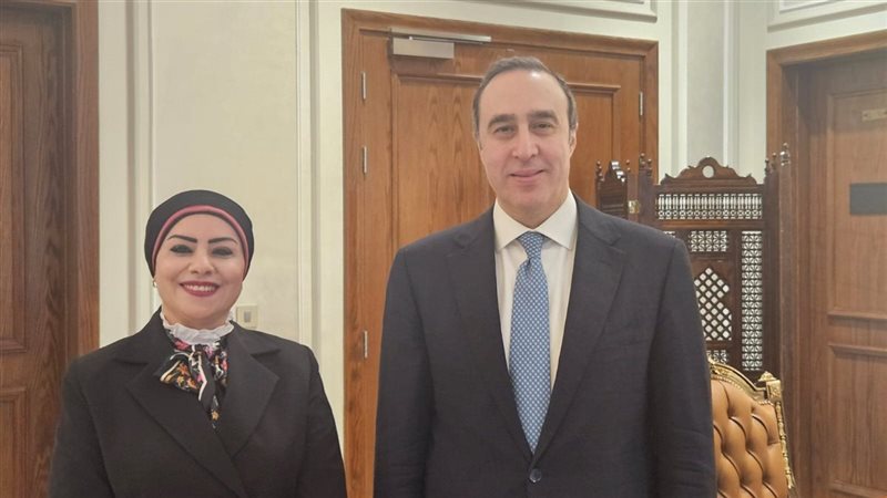 جيهان شاهين والمستشار