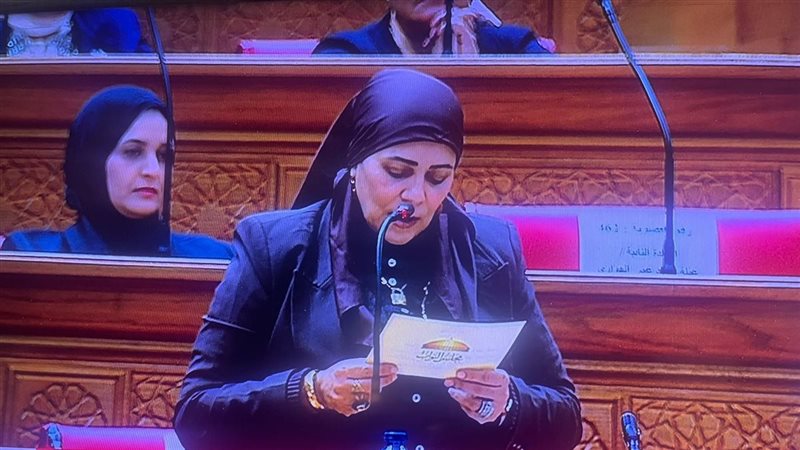 أميرة زيدان 