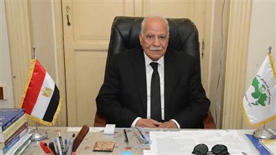 العربي الناصري: التكاتف الوطني صمام الأمان في مواجهة تداعيات الأزمات
