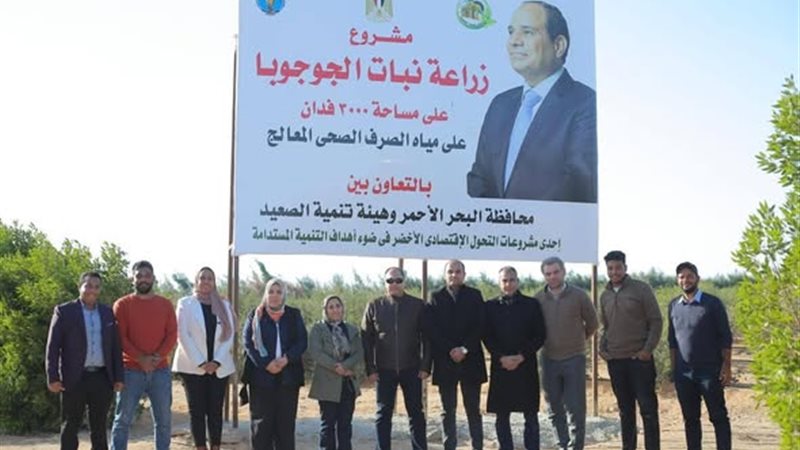 مشروع زراعة نبات