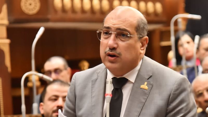 النائب  ايهاب وهبة