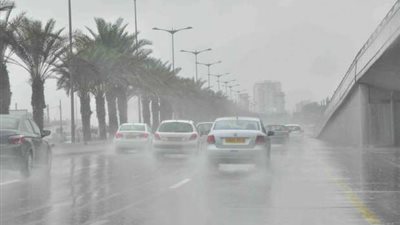 مصرع عجوز دهسا وإصابه زوجها بأزمه قلبية فور علمه بوفاتها في الإسكندرية 