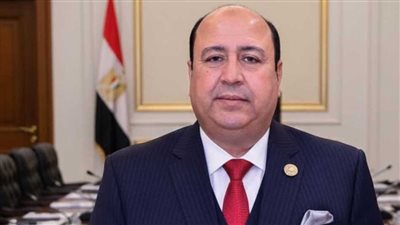 النائب حسن جعفر: مصر تلعب دورًا محوريًا في المرحلة الثانية لاتفاق غزة