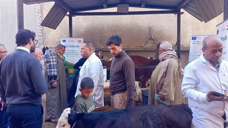 من جهود الطب البيطرى