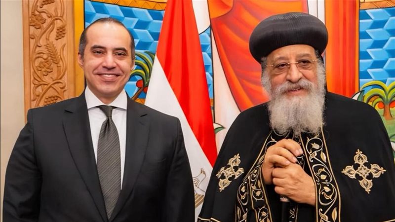 المستشار محمود فوزي