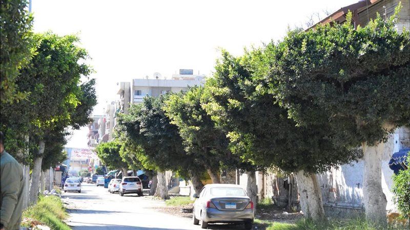 شارع 15 سبتمبر بمدينة