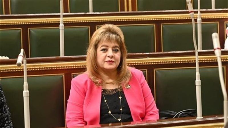 النائبة هناء أنيس
