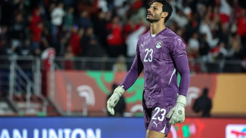 محمد الشناوي