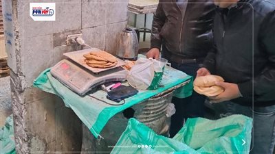 تموين المنيا: تحرير 210 مخالفات تموينية وضبط سلع مدعمة قبل تهريبها 