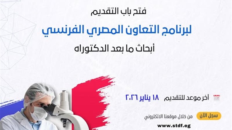التعليم العالي