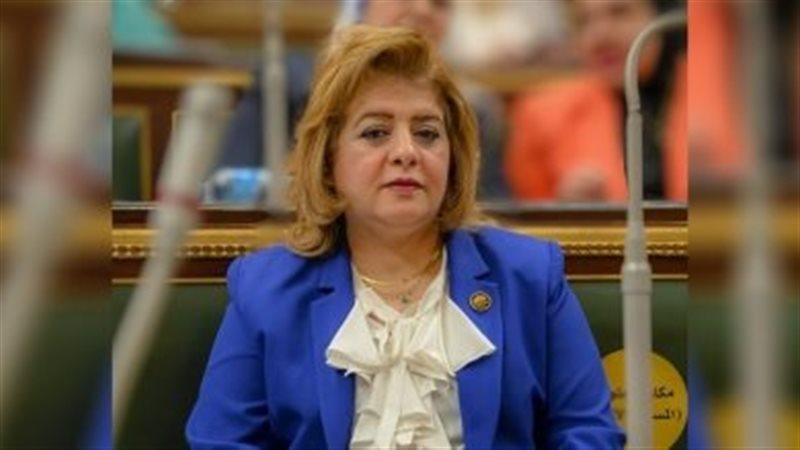 النائبة هناء أنيس
