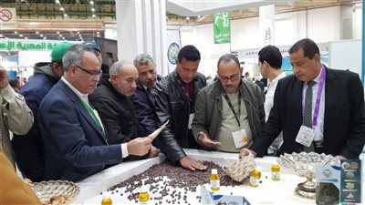 هيئة تنمية الصعيد تتابع فعاليات 
