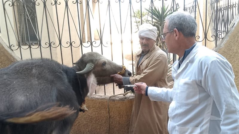 جانب من التطعيم 