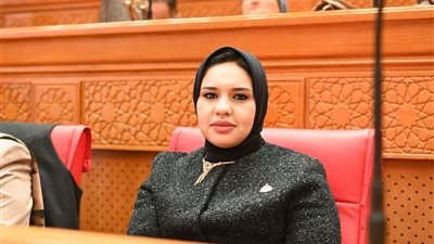 النواب يناقشون أوضاع العمالة المؤقتة لضمان الاستقرار الوظيفي|فيديو
