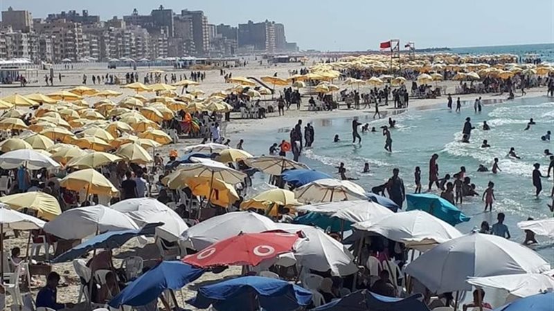 شاطئ النخيل بعد فتحه