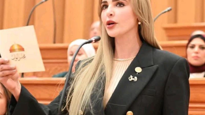 النائبة مروة حسين