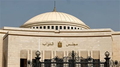 «شباب النواب» توافق نهائيًا على تعديلات قانون المهن الرياضية