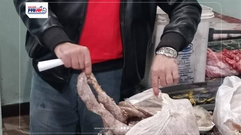 تموين المنيا 