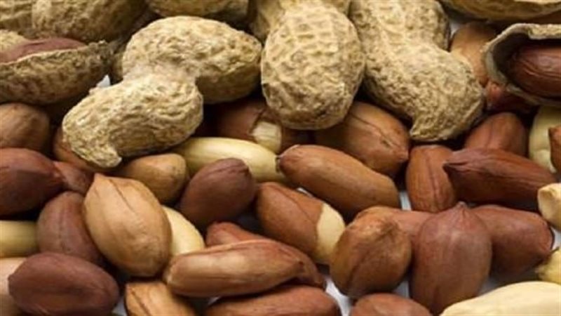 الفول السوداني 
