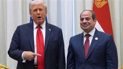 سياسي: لقاء الرئيس السيسي وترامب يعكس عمق العلاقات الاستراتيجية بين البلدين