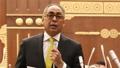 هاني سري الدين يكشف عن أبرز المشاكل التي تواجه حزب الوفد 