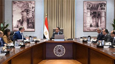 رئيس الوزراء يتابع مع وزير البترول عددًا من ملفات العمل