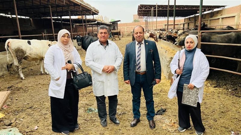 الطاقم الطبى 