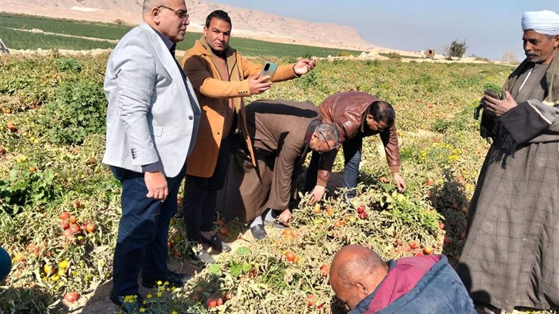 وكيل وزارة الزراعة